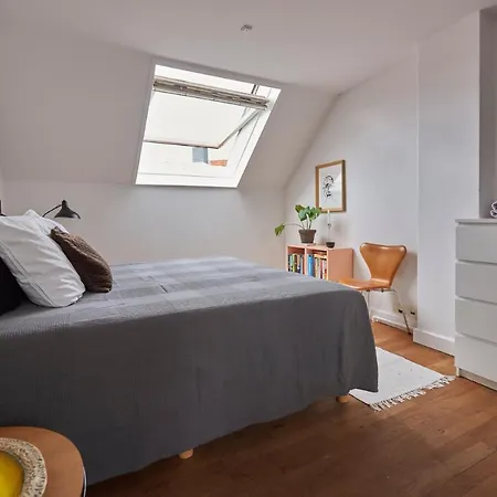 Penthouse Cph Inner Apartment Copenhagen